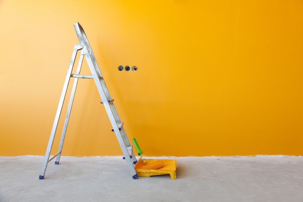 Newly painted wall with ladder