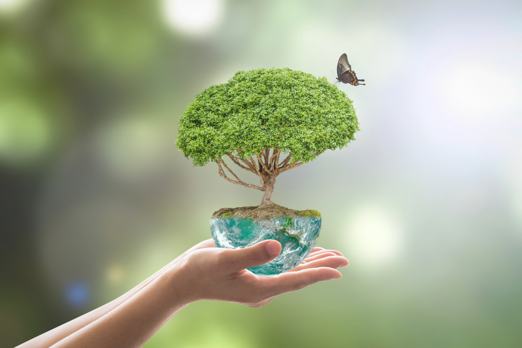 Planting tree in green soil globe on female human hands with a butterfly on blurred natural bokeh background of greenery : Environment conservation concept : Elements of this image furnished by NASA